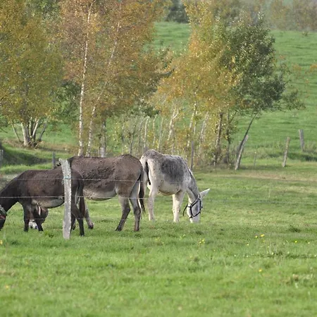 Les De Durbuy *