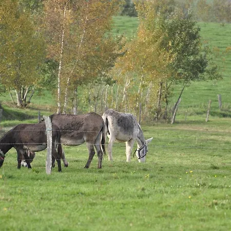 Les Gites De Durbuy *